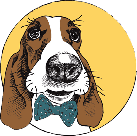 Hundesalon Wien Grafik